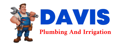 Trusted plumber in SARALAND